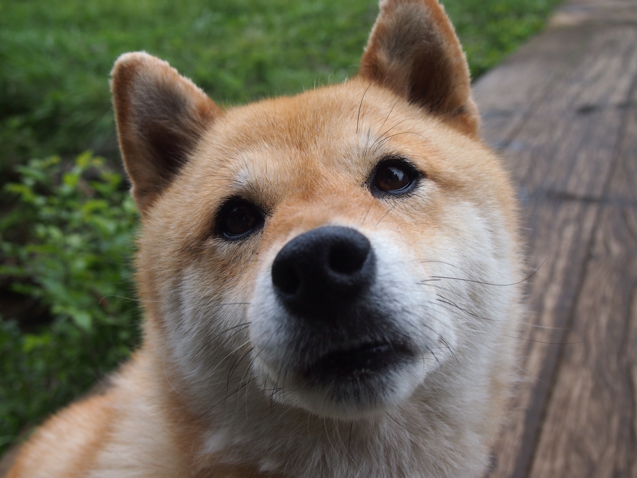 BSPORT APP-_国家队对抗赛：国家荣誉的终极比拼_，国家队队