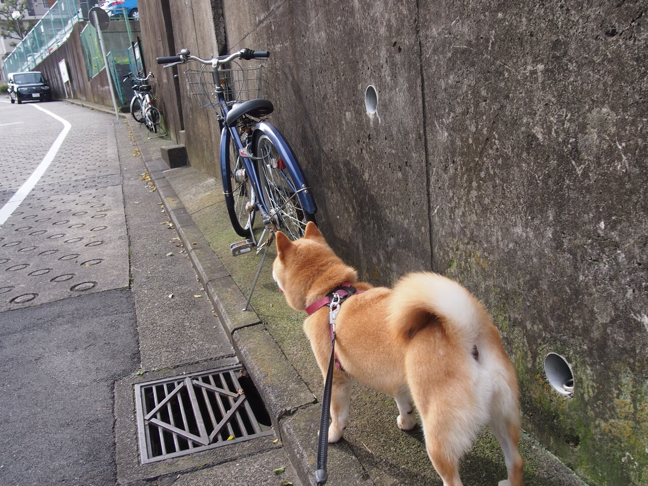 三分战火：北京队三分命中率突破42%，火力全开！，三分大赛命中率最高的