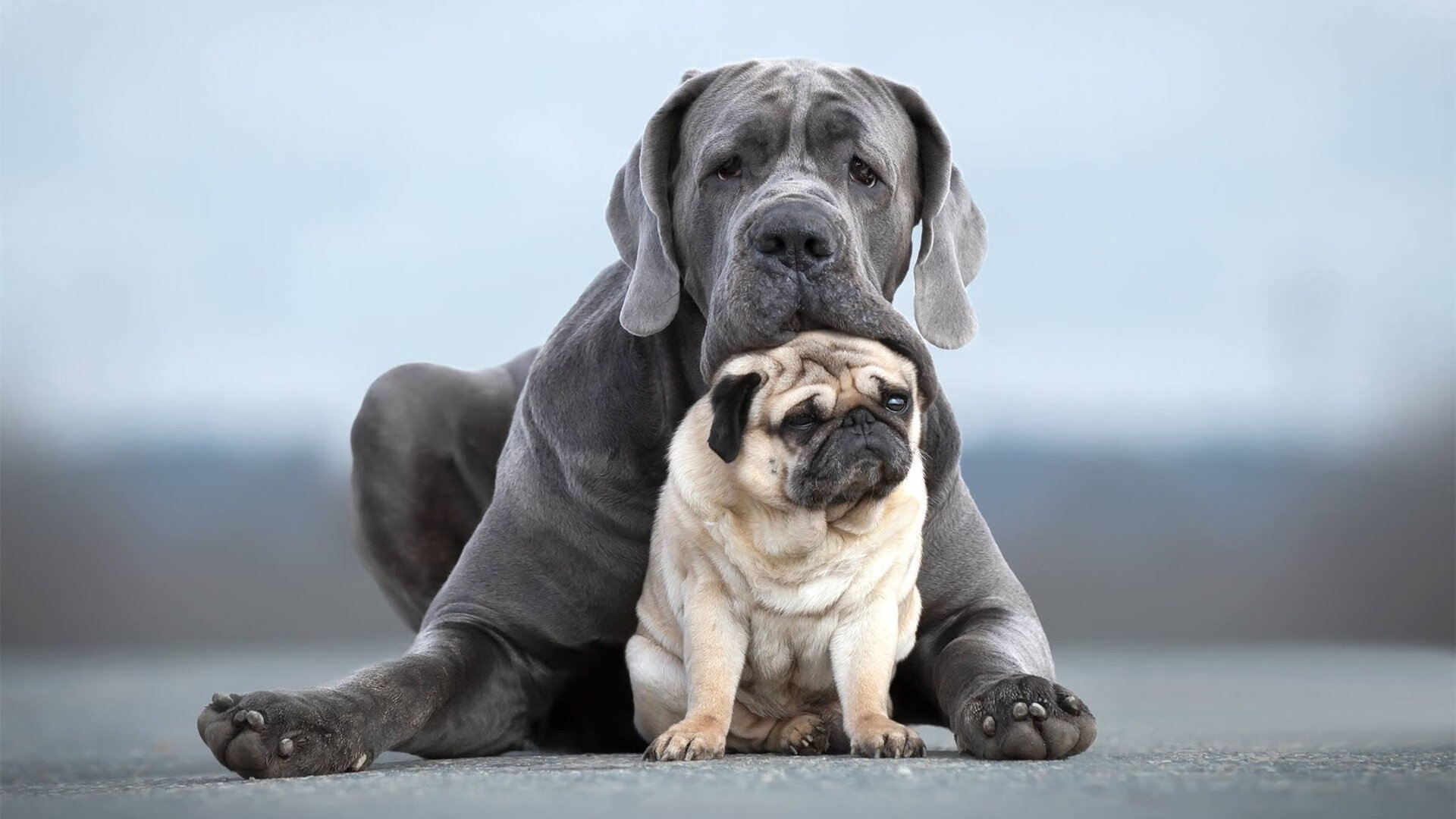 b体育电竞-三分火力：北京队38%的三分命中率助力胜利！，北京三分场教育科技有限公司