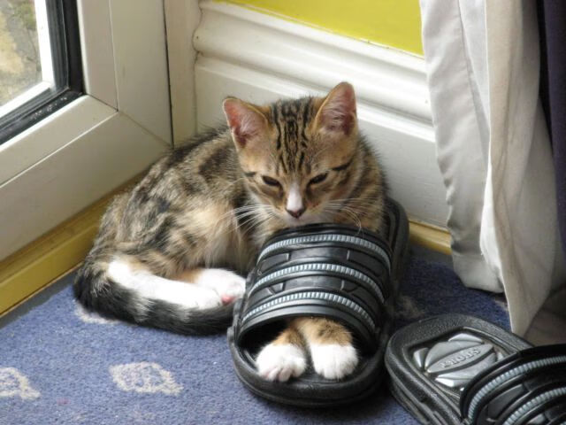 BSPORT APP-以“足球+文化”推动城市文化建设，打造城市新名片，足球文化主题绘画