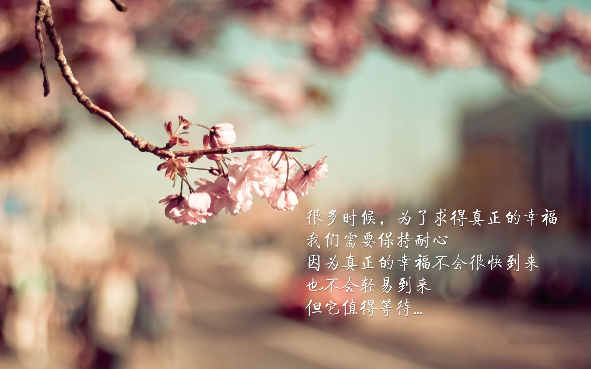 b体育网站注册-球场狂欢：球迷应援和现场互动高潮不断，球场dj