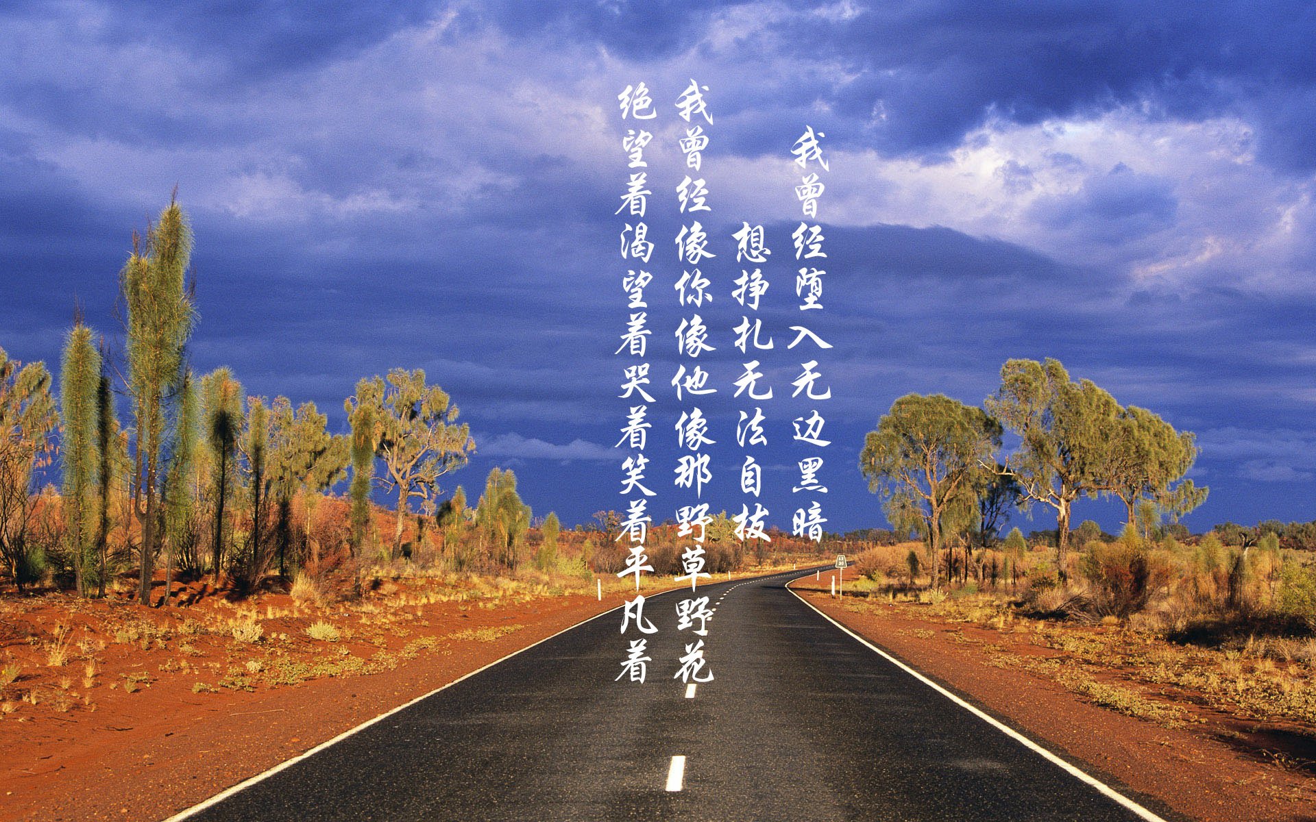 篮球职业联赛观赛体验持续升级，职业篮球比赛