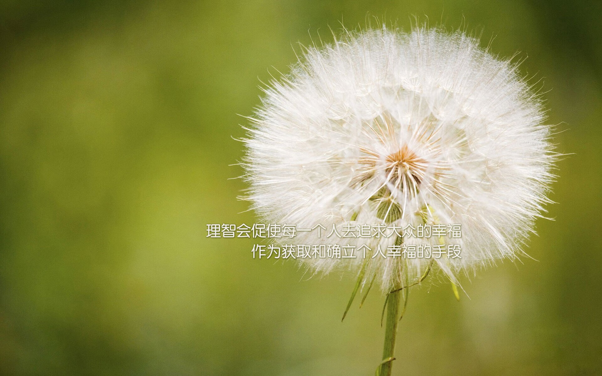 B体育(CHINA)官方网站-76人队强化内线防守效果显著，76人队强化内线防守效果显著吗