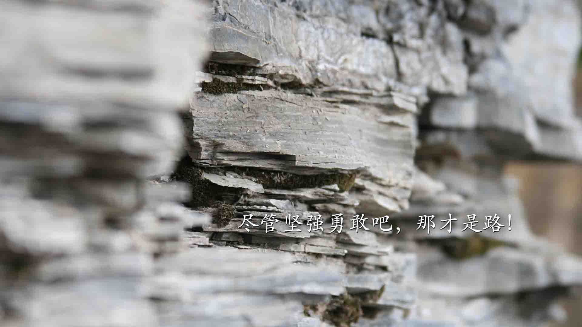 76人队战术体系多样化,哪些球队是76人战术