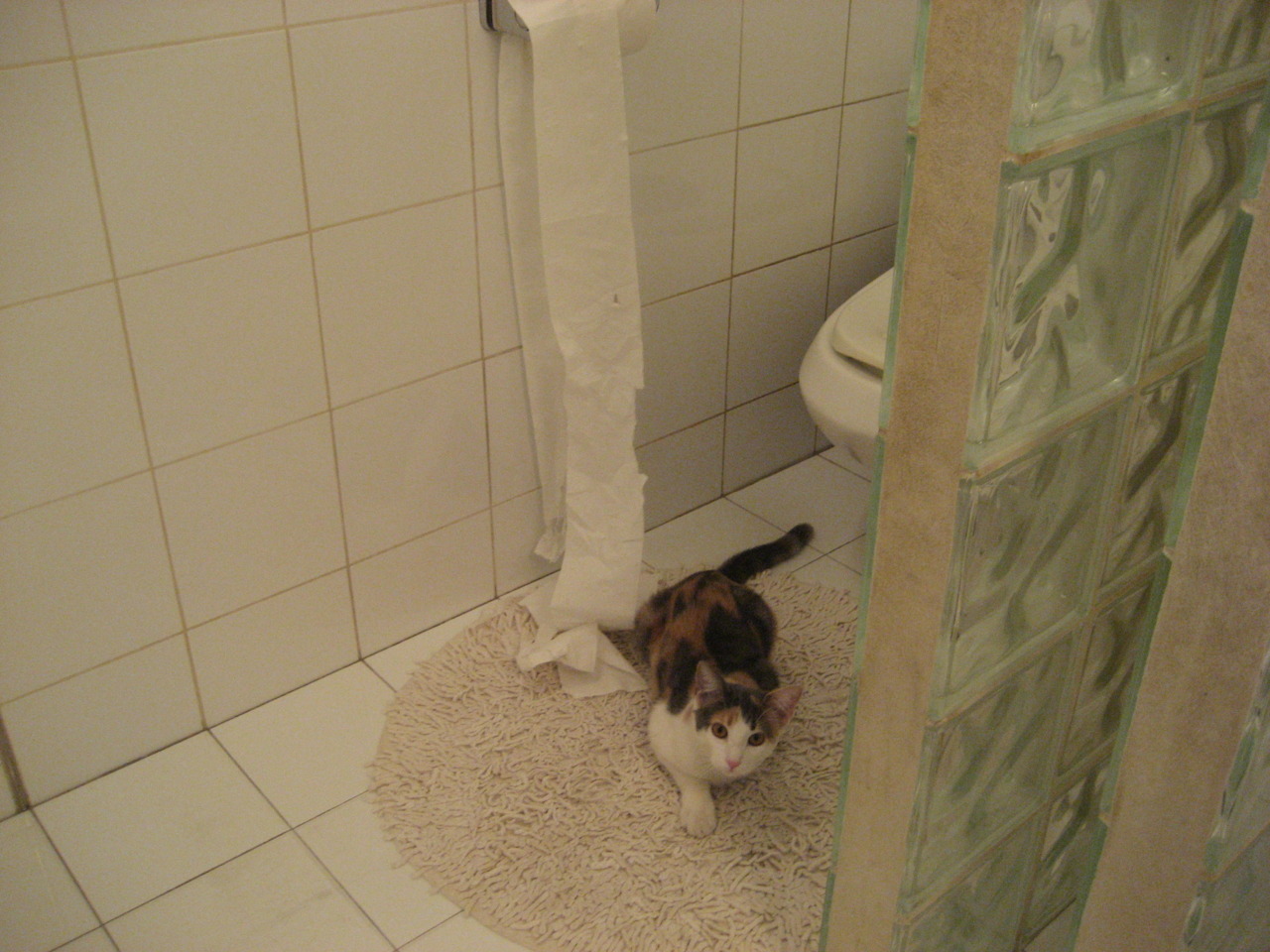 BSPORT 官网-刀光剑影：双方实力对比让人不禁为之动容，刀光剑影下一句怎么说