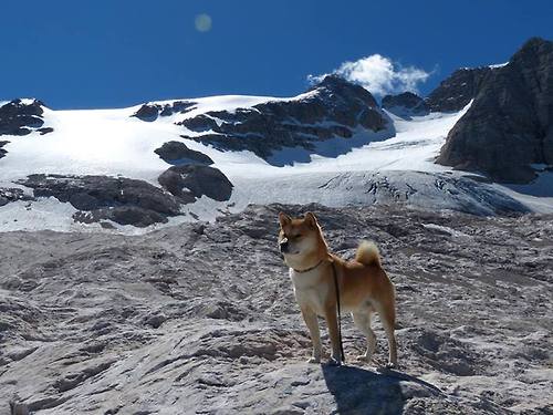 华尔福德客场挫败水晶宫，重返领跑位置，宁德华尔道夫水晶宫