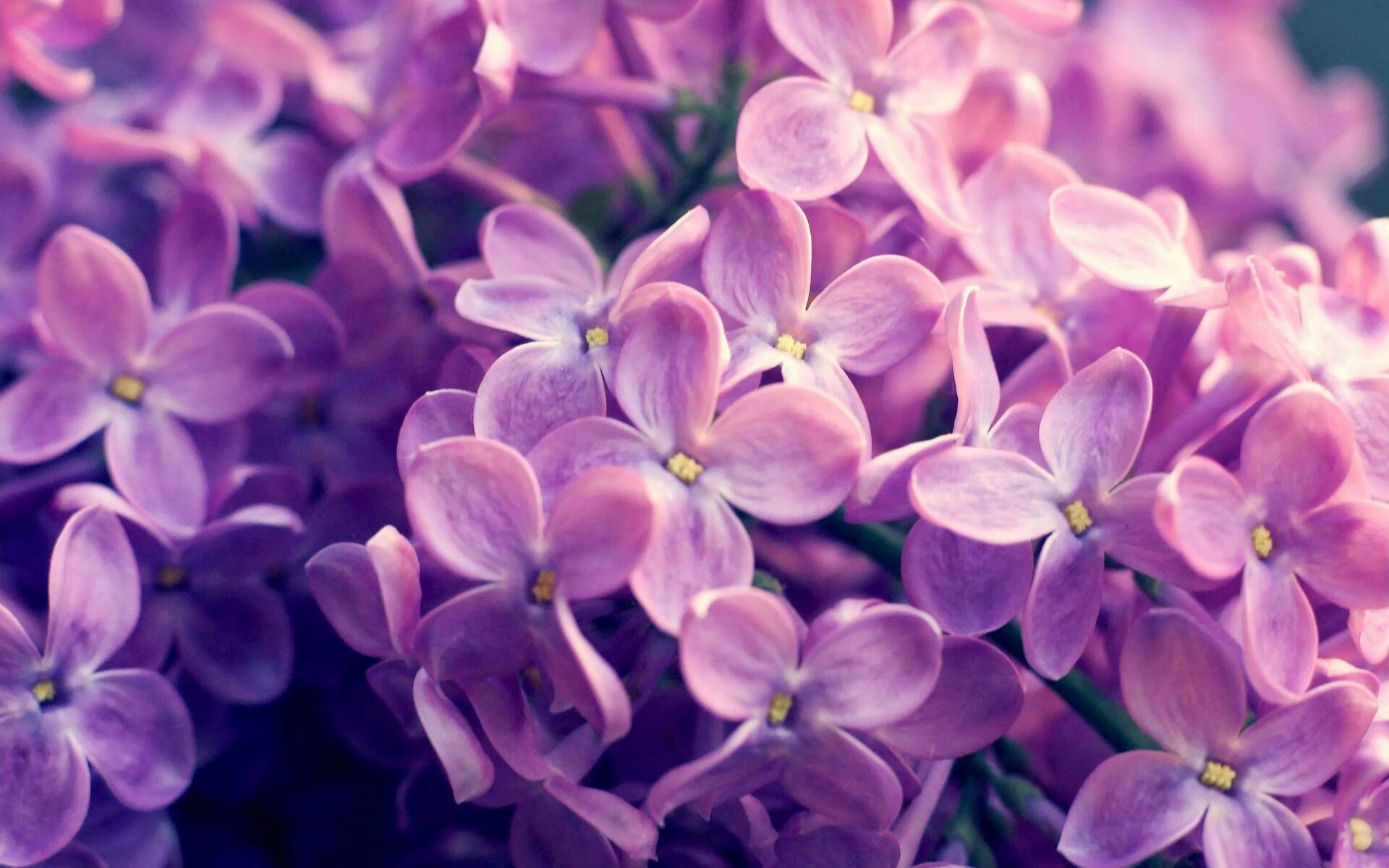 巴塞罗那翻盘成功,豪取胜利晋级,巴塞罗那比赛视频