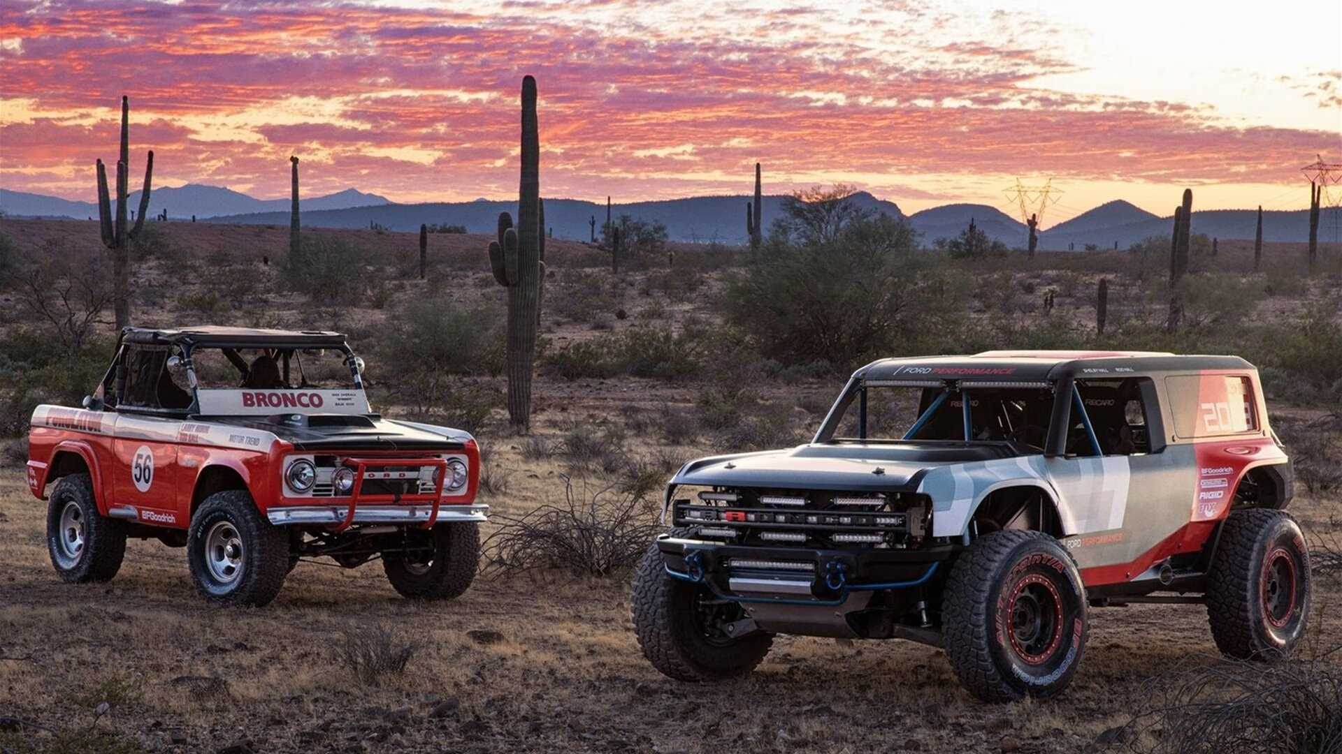 SPORTS-APP下载-德国女子排球队在四分之一决赛中惜败美国队，德国女排四号