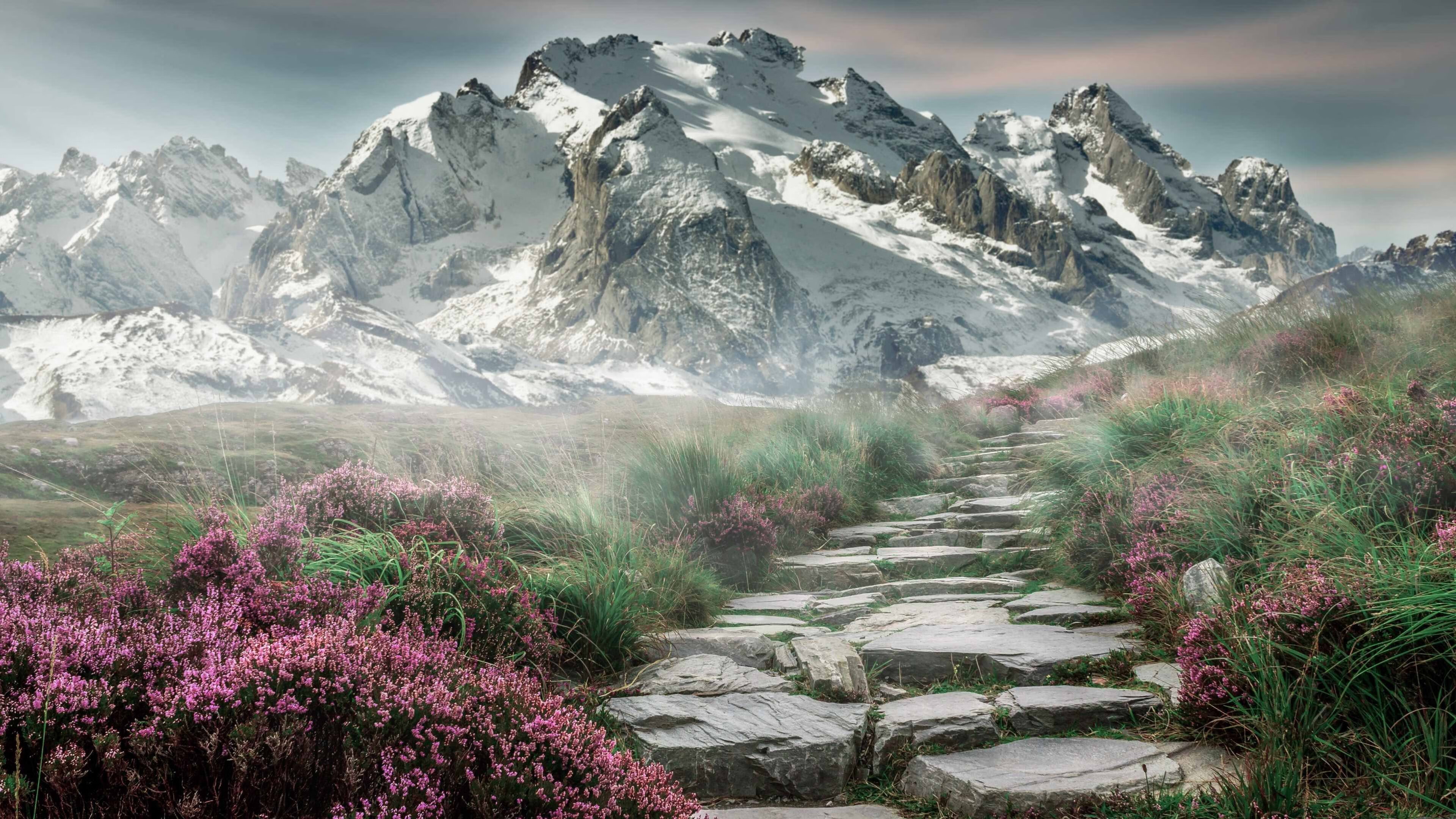 bsport-曼城主场大胜谢菲联，状态回暖，曼城vs谢菲联