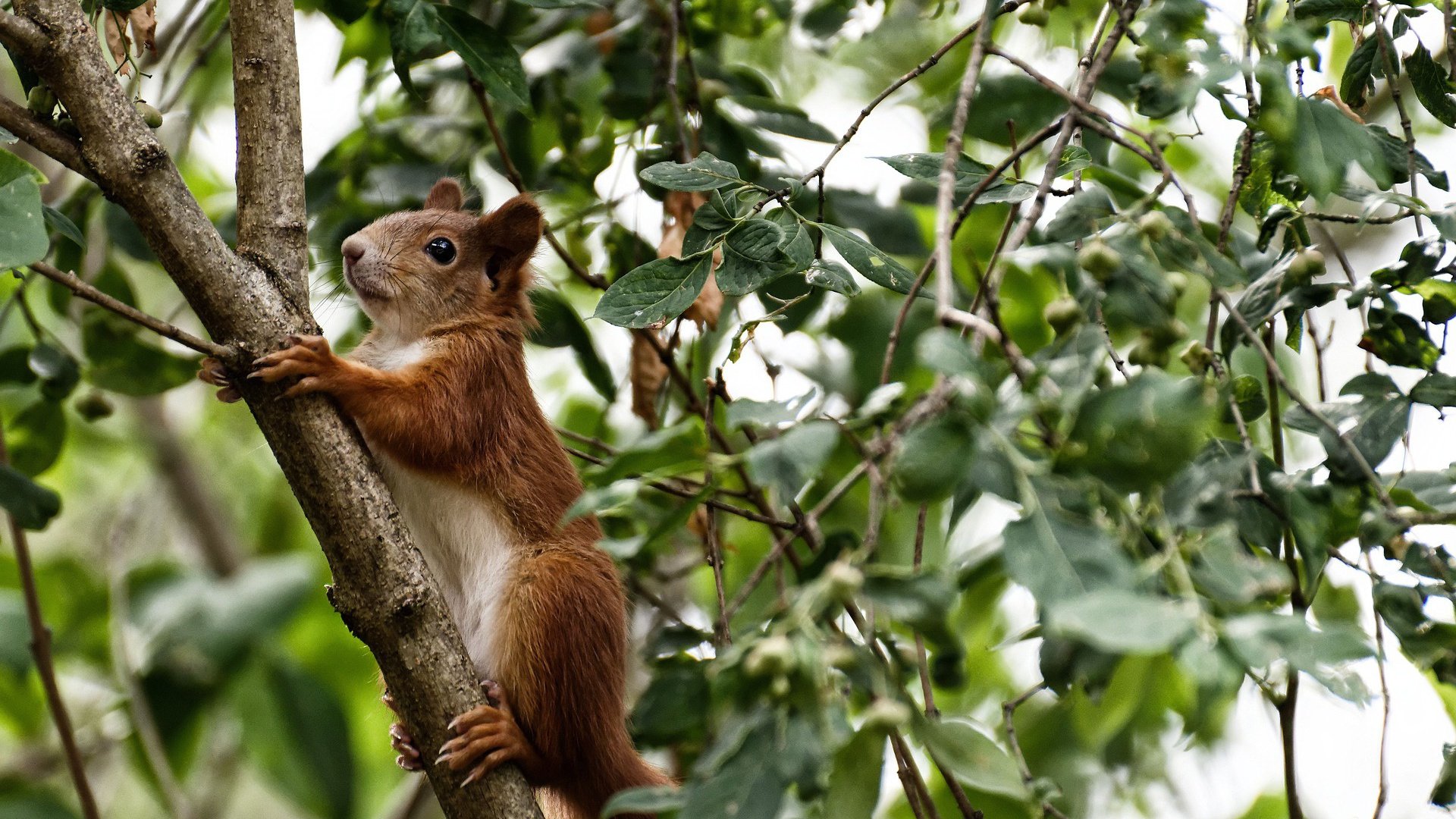 BSPORT 官网-曼城主场小胜富勒姆，迎来赛季首胜，0506赛季曼城对富勒姆