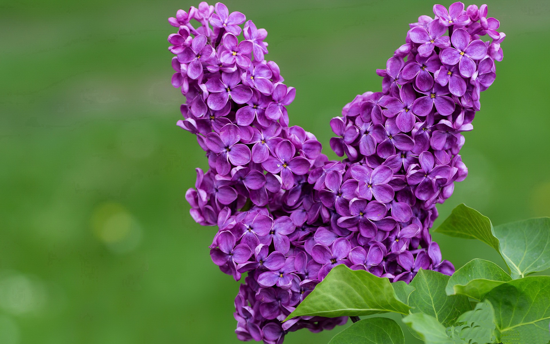 B体育APP下载网址-球员伤愈复出，为球队注入新活力，球员受伤谁出钱