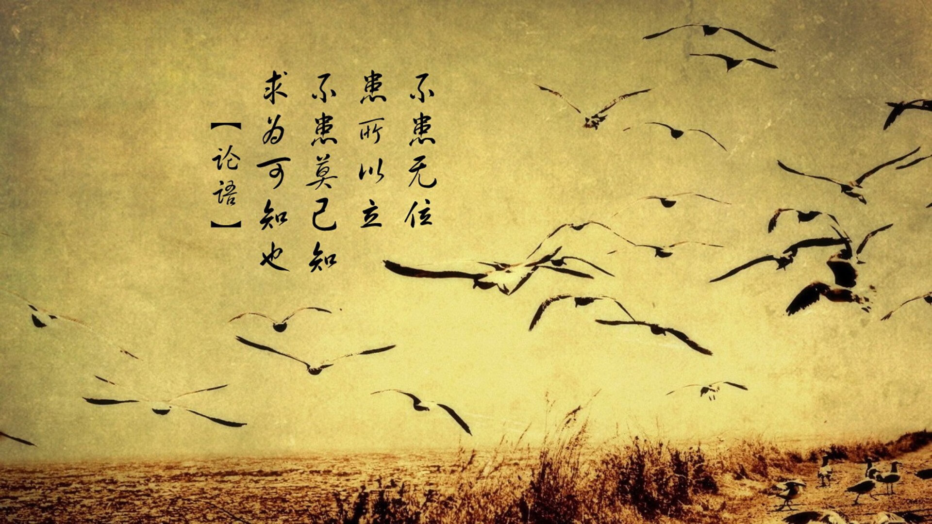 电竞赛事与传统体育跨界合作，电竞比赛和传统体育比赛区别