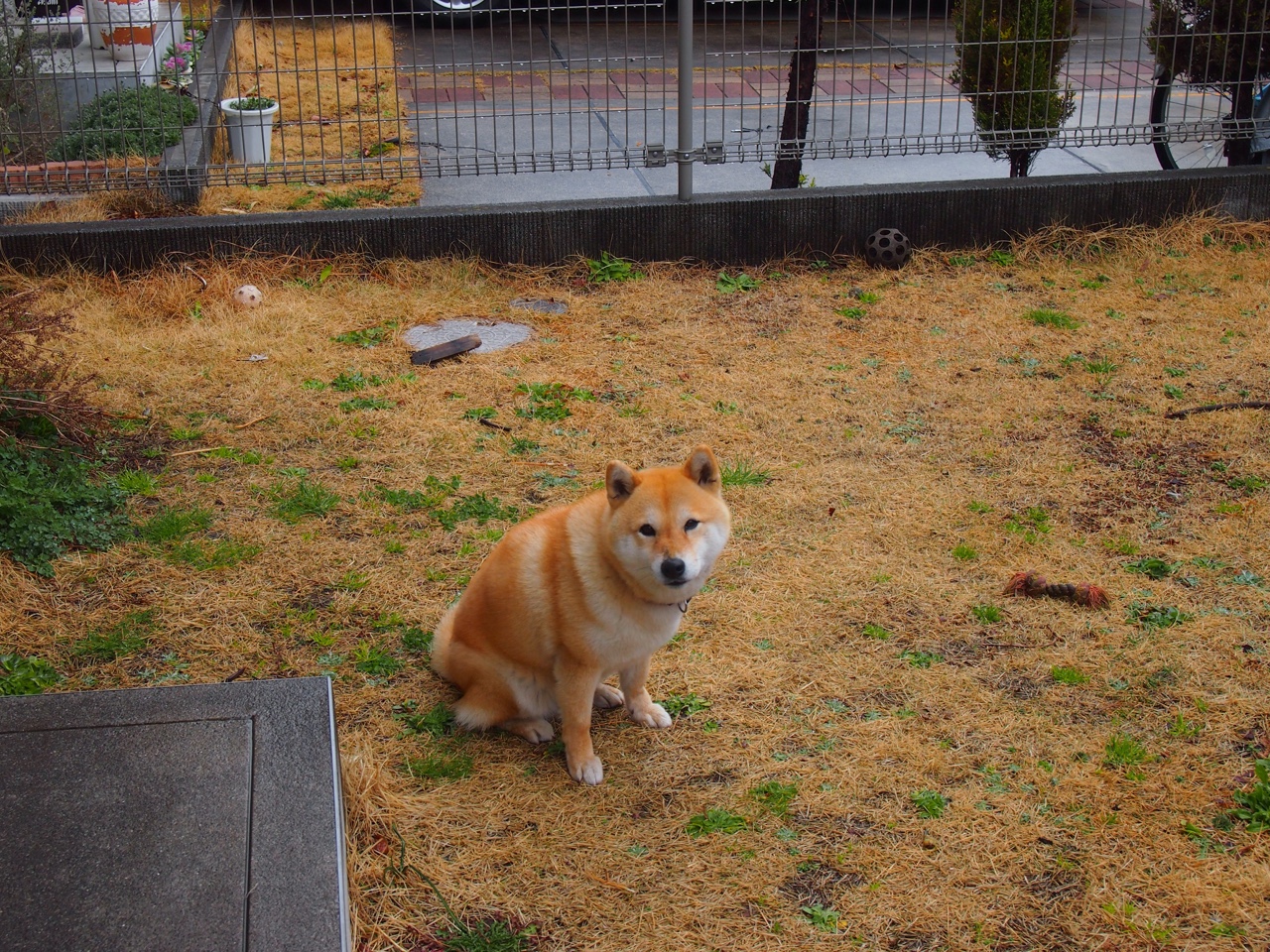 阿森纳后卫受伤离场,影响球队防守,在阿森纳效力过的后卫