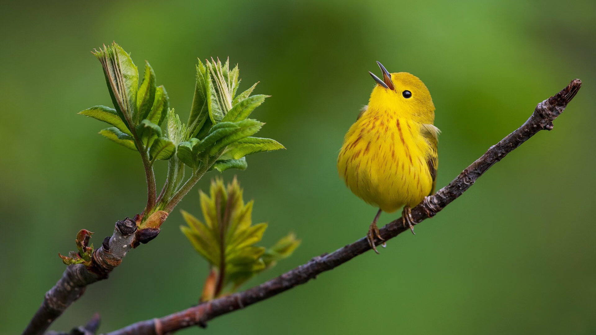 中超俱乐部后防稳定性排行，中超本土后卫