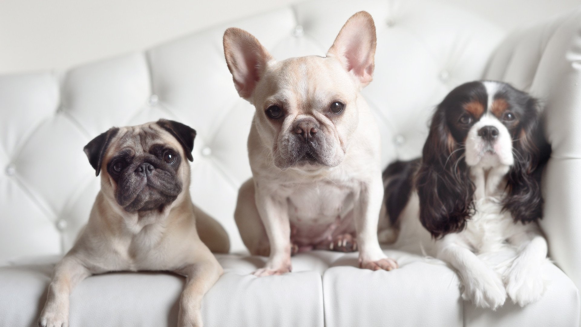 b体育在线平台-体育赛事赞助商合作模式研究，体育赛事赞助的概念