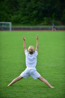 B体育下载-高校体育专业课程体系动态调整研究，全国普通高校体育教育专业课程方案