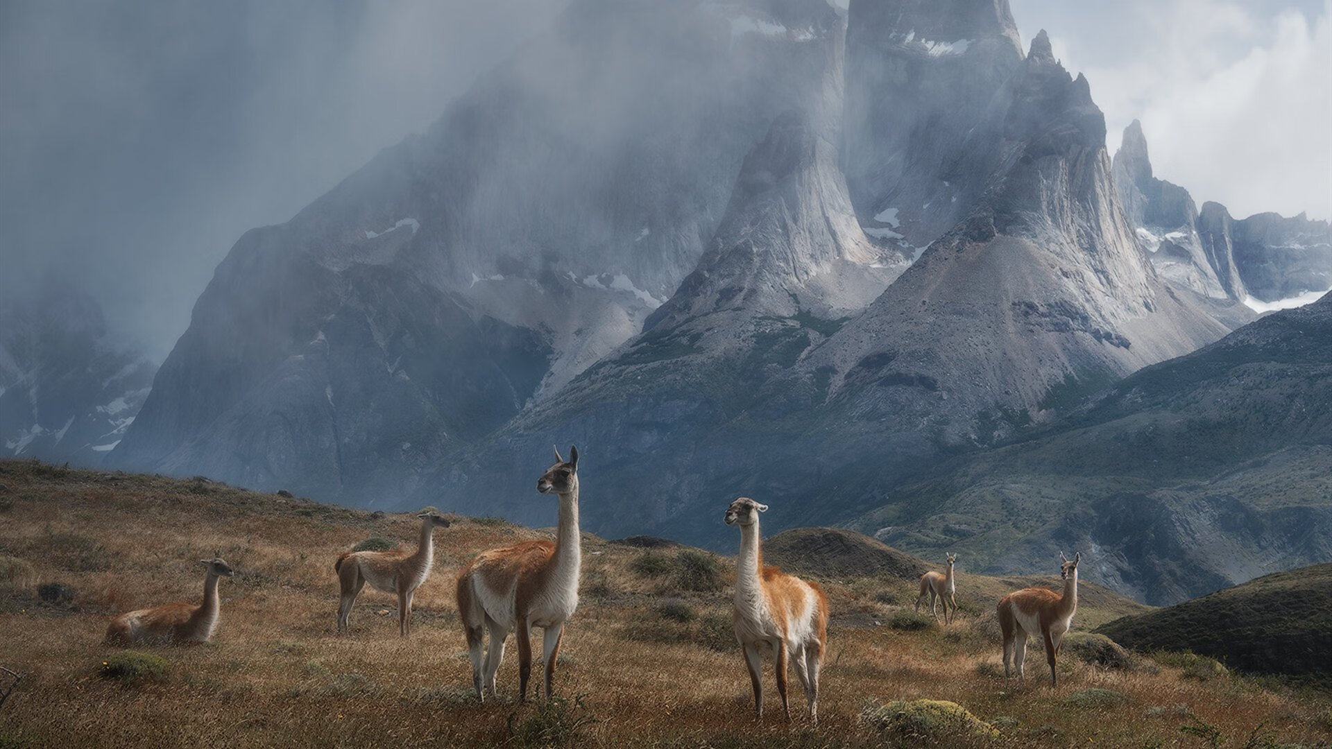 B体育(中国)官方网站-球队节奏是否应围绕攻防效率灵活变化，nba球队节奏