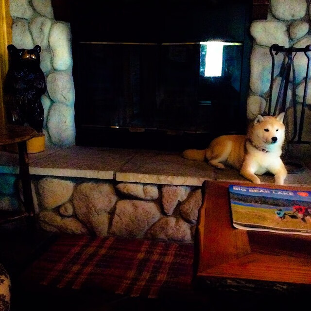 青训力量训练标准是否科学分期，青训体系