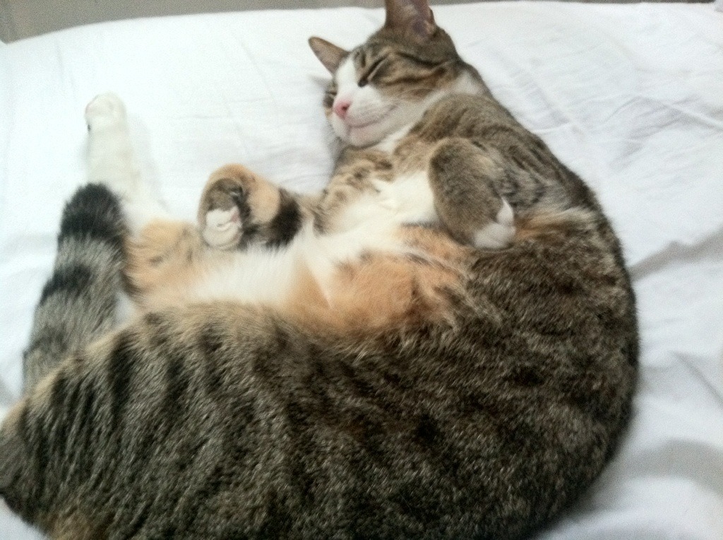 B 体育官网-欧洲杯劲爆瞬间：开启心跳的瞬间纪实，播放一下欧洲杯的