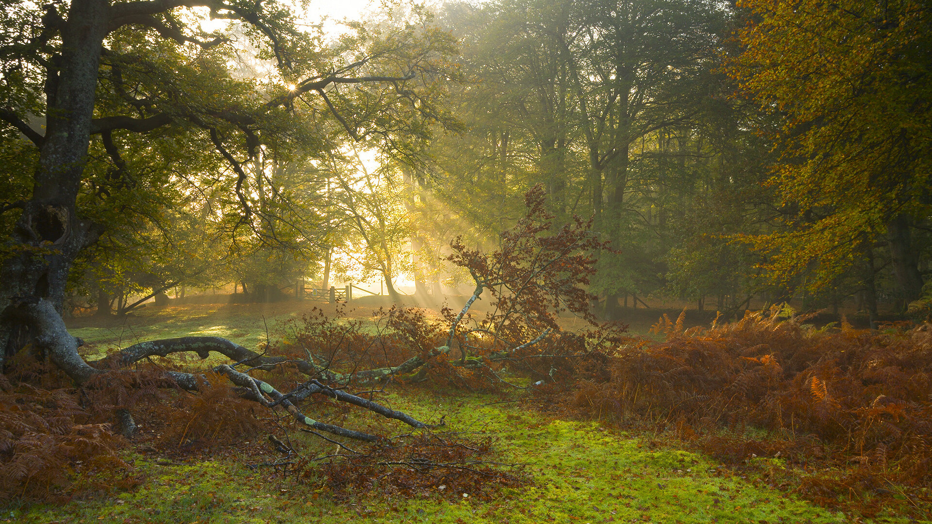 B体育中国官方平台-胡贝特·科斯展现强大心理素质，胡安贝内特百度百科